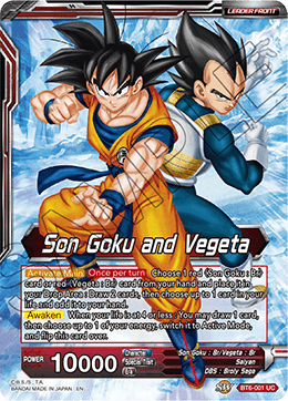 Son Goku and Vegeta