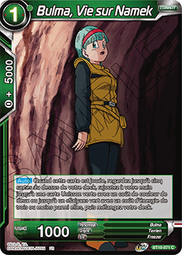 Bulma, Vie sur Namek