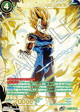 Prince de la Destruction Vegeta, Guerrier fier