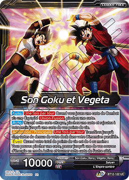 Son Goku et Vegeta