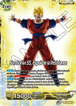 Son Gohan SS, Espoir de la Résistance