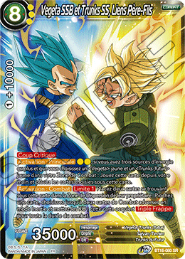 Vegeta SSB et Trunks SS, Liens Père-Fils