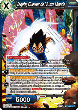 Vegeta, Guerrier de l’Autre Monde