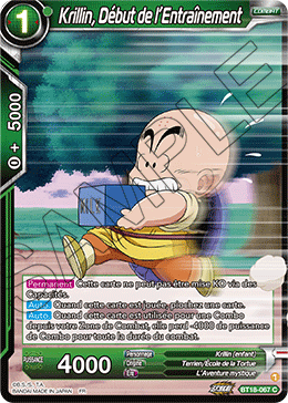 Krillin, Début de l’Entraînement