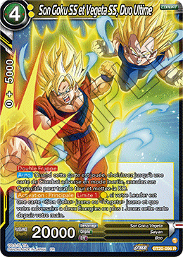 Son Goku SS et Vegeta SS, Duo Ultime