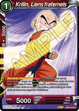 Krillin, Liens fraternels