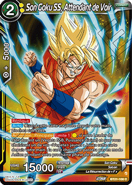 Son Goku SS, Attendant de Voir