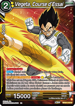 Vegeta, Course d’Essai