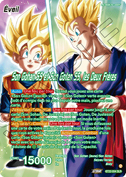 Son Gohan SS et Son Goten SS, les Deux Frères