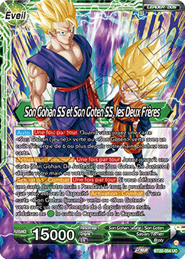 Son Gohan SS et Son Goten SS, les Deux Frères