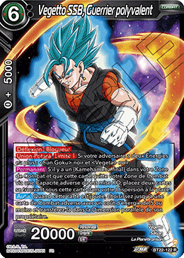 Vegetto SSB, Guerrier polyvalent