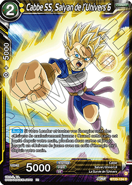 Cabbe SS, Saiyan de l’Univers 6