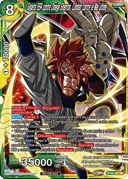 Gogeta SS4 contre Oméga Shenron, Combat contre le Mal ultime