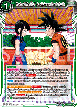 Tenkaichi Budôkai - Les Retrouvailles du Destin
