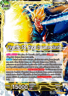Vegetto SS, Rage transcendante