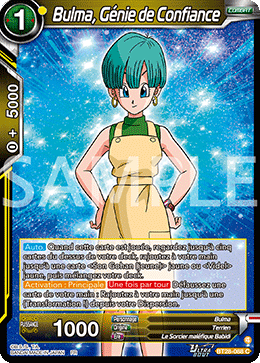 Bulma, Génie de Confiance