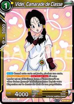 Videl, Camarade de Classe