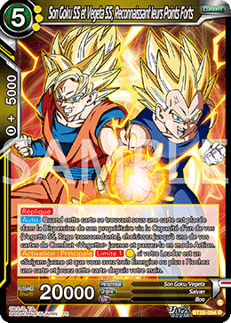 Son Goku SS et Vegeta SS, Reconnaissant leurs Points Forts