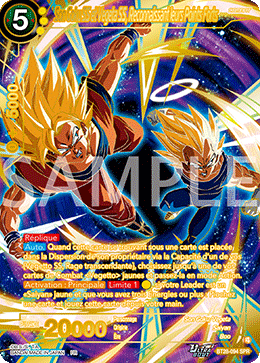 Son Goku SS et Vegeta SS, Reconnaissant leurs Points Forts