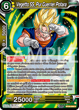 Vegetto SS, Pur Guerrier Potara