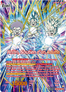 Krillin, Soutien d’un Adulte