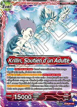 Krillin, Soutien d’un Adulte