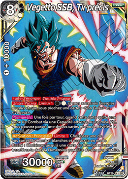 Vegetto SSB, Tir précis
