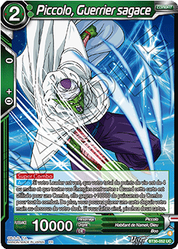 Piccolo, Guerrier sagace