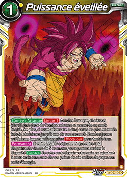 Puissance éveillée