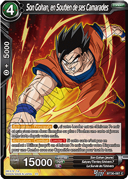 Son Gohan, en Soutien de ses Camarades