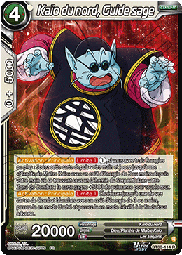 Kaïo du nord, Guide sage