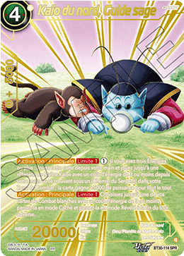 Kaïo du nord, Guide sage