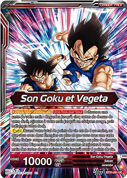 Son Goku et Vegeta
