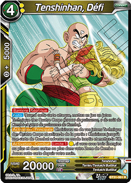 Tenshinhan, Défi