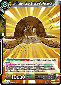 La Tortue, Spectatrice du Tournoi