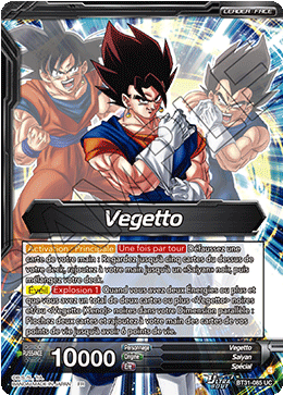 Vegetto