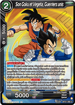 Son Goku et Vegeta, Guerriers unis