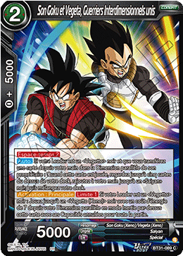 Son Goku et Vegeta, Guerriers Interdimensionnels unis