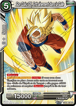 Son Goku SS, Entraînement dans la Salle