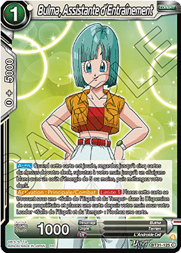 Bulma, Assistante d’Entraînement