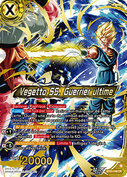 Vegetto SS, Guerrier ultime