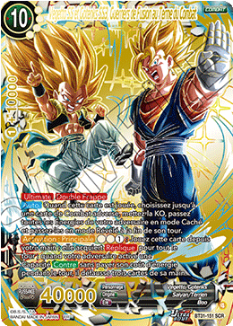 Vegetto SS et Gotenks SS3, Guerriers de Fusion au Terme du Combat