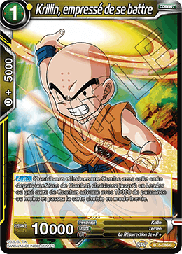 Krillin, empressé de se battre