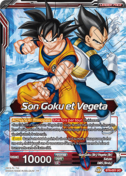 Son Goku et Vegeta