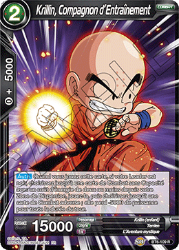 Krillin, Compagnon d’Entraînement