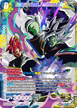 Zamasu fusionné, Providence divine