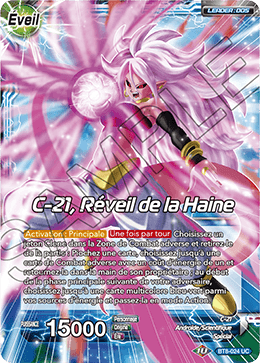 C-21, Réveil de la Haine