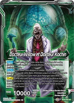 Docteur Willow et Docteur Kochin