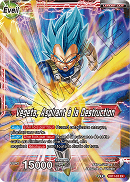 Vegeta, Aspirant à la Destruction