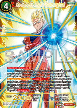 Son Gohan SS, Travail d’Équipe magistral